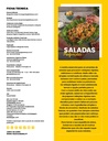 Especial 100 Saladas Refeição - versão digital