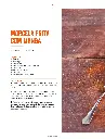 Receitas Rapidas_06.webp