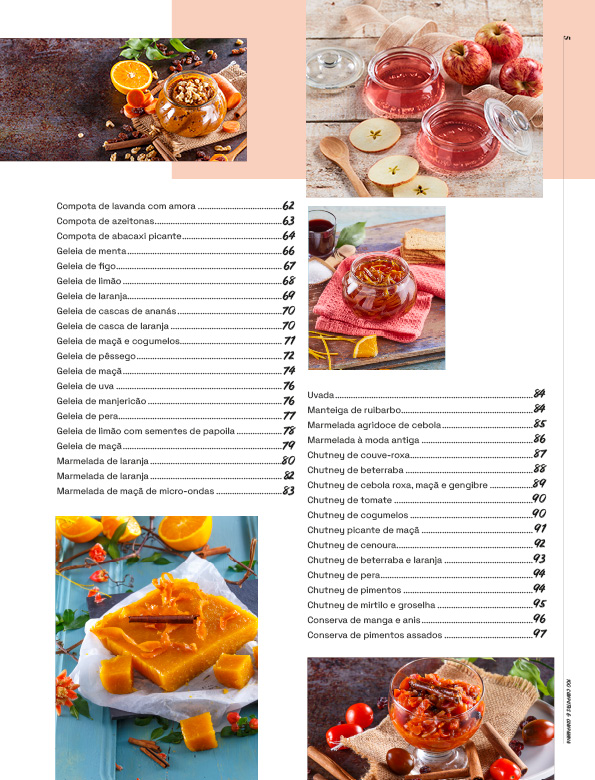 Especial 100 Receitas de Compotas & Companhia - versão digital