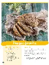 lowcarb_BestOf_Verao_10.webp